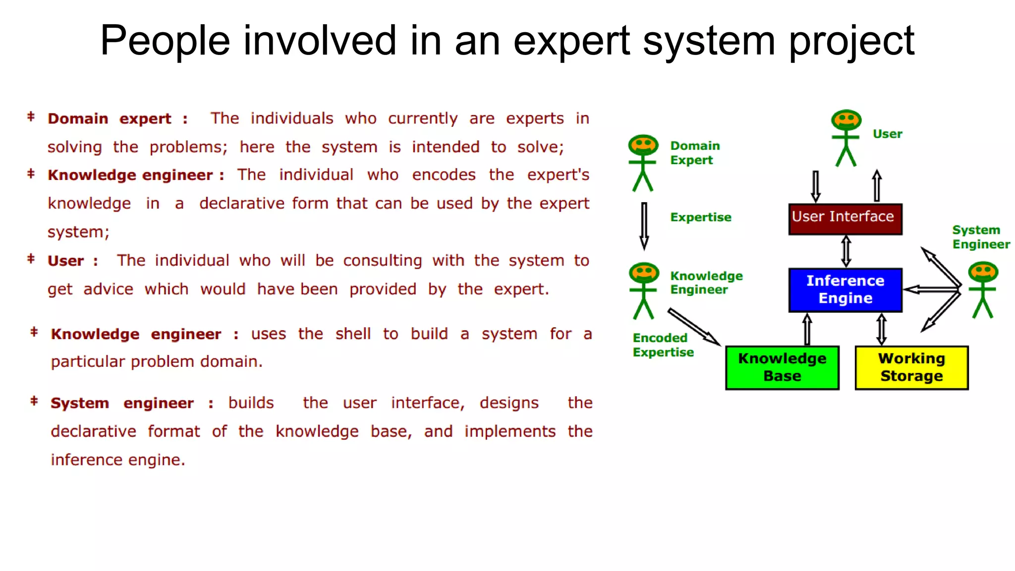 People involved in an expert system project
 
