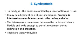 B. Syndesmosis
• In this type , the bones are united by a sheet of fibrous tissue.
• It may be a ligament or a fibrous membrane. Example is
interosseous membrane connects the radius and ulna.
• The interosseous membrane between the radius and ulna is
flexible and wide enough to permit movement during
supination and pronation.
• These are slightly movable
 