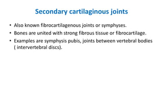Secondary cartilaginous joints
• Also known fibrocartilagenous joints or symphyses.
• Bones are united with strong fibrous tissue or fibrocartilage.
• Examples are symphysis pubis, joints between vertebral bodies
( intervertebral discs).
 