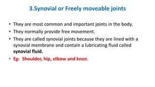 3.Synovial or Freely moveable joints
• They are most common and important joints in the body.
• They normally provide free movement.
• They are called synovial joints because they are lined with a
synovial membrane and contain a lubricating fluid called
synovial fluid.
• Eg- Shoulder, hip, elbow and knee.
 