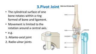 3.Pivot Joint
• The cylindrical surface of one
bone rotates within a ring
formed of bone and ligament.
• Movement is limited to the
rotation around a central axis.
• e.g.
1. Atlanto-axial joint
2. Radio-ulnar joints
 
