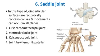 6. Saddle joint
• In this type of joint articular
surfaces are reciprocally
concavo-convex & movements
can occur in all planes.
1. First carpometacarpal joint.
2. sternoclavicular joint
3. Calcaneocuboid joint
4. Joint b/w femur & patella
 