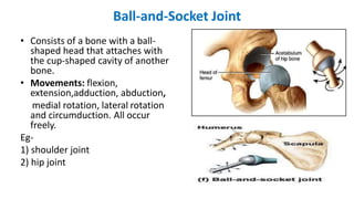 Ball-and-Socket Joint
• Consists of a bone with a ball-
shaped head that attaches with
the cup-shaped cavity of another
bone.
• Movements: flexion,
extension,adduction, abduction,
medial rotation, lateral rotation
and circumduction. All occur
freely.
Eg-
1) shoulder joint
2) hip joint
 