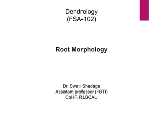 Dendrology
(FSA-102)
Root Morphology
Dr. Swati Shedage
Assistant professor (FBTI)
CoHF, RLBCAU
 