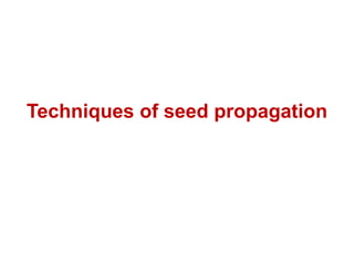 Techniques of seed propagation
 