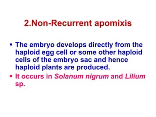 2.Non-Recurrent apomixis
 The embryo develops directly from the
haploid egg cell or some other haploid
cells of the embryo sac and hence
haploid plants are produced.
 It occurs in Solanum nigrum and Lilium
sp.
 