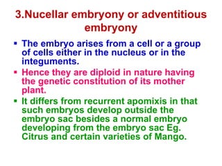 3.Nucellar embryony or adventitious
embryony
 The embryo arises from a cell or a group
of cells either in the nucleus or in the
integuments.
 Hence they are diploid in nature having
the genetic constitution of its mother
plant.
 It differs from recurrent apomixis in that
such embryos develop outside the
embryo sac besides a normal embryo
developing from the embryo sac Eg.
Citrus and certain varieties of Mango.
 