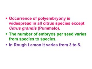 Occurrence of polyembryony is
widespread in all citrus species except
Citrus grandis (Pummelo).
 The number of embryos per seed varies
from species to species.
 In Rough Lemon it varies from 3 to 5.
 