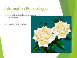 Information Processing …
 Lets look at how humans process
information
 Identify the following:
 