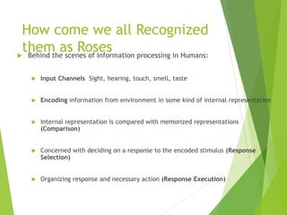 How come we all Recognized
them as Roses
 Behind the scenes of Information processing in Humans:
 Input Channels Sight, hearing, touch, smell, taste
 Encoding information from environment in some kind of internal representation
 Internal representation is compared with memorized representations
(Comparison)
 Concerned with deciding on a response to the encoded stimulus (Response
Selection)
 Organizing response and necessary action (Response Execution)
 