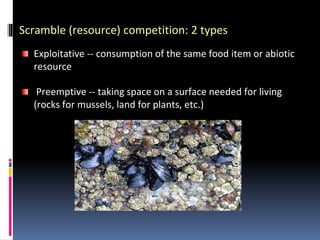 Scramble (resource) competition: 2 types
Exploitative -- consumption of the same food item or abiotic
resource
Preemptive -- taking space on a surface needed for living
(rocks for mussels, land for plants, etc.)
 