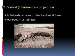 2. Contest (interference) competition
individuals harm each other by physical force
observed in vertebrates
 
