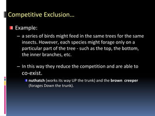 Competitive Exclusion…
Example:
– a series of birds might feed in the same trees for the same
insects. However, each species might forage only on a
particular part of the tree - such as the top, the bottom,
the inner branches, etc.
– In this way they reduce the competition and are able to
co-exist.
nuthatch (works its way UP the trunk) and the brown creeper
(forages Down the trunk).
 