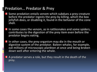 Predation… Predator & Prey
Some predation entails venom which subdues a prey creature
before the predator ingests the prey by killing, which the box
jellyfish does, or disabling it, found in the behavior of the cone
shell.
In some cases the venom, as in rattlesnakes and some spiders,
contributes to the digestion of the prey item even before the
predator begins eating.
In other cases, the prey organism may die in the mouth or
digestive system of the predator. Baleen whales, for example,
eat millions of microscopic plankton at once and being broken
down well after entering the whale.
A predator serves a role, but they result in the death of the
prey.
 