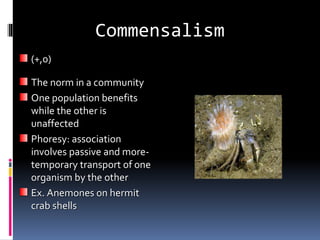 Commensalism
(+,0)
The norm in a community
One population benefits
while the other is
unaffected
Phoresy: association
involves passive and more-
temporary transport of one
organism by the other
Ex. Anemones on hermit
crab shells
 