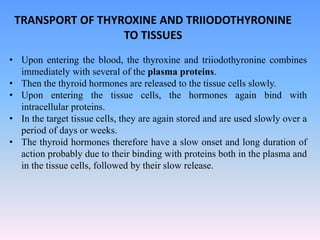 TRANSPORT OF THYROXINE AND TRIIODOTHYRONINE
TO TISSUES
• Upon entering the blood, the thyroxine and triiodothyronine combines
immediately with several of the plasma proteins.
• Then the thyroid hormones are released to the tissue cells slowly.
• Upon entering the tissue cells, the hormones again bind with
intracellular proteins.
• In the target tissue cells, they are again stored and are used slowly over a
period of days or weeks.
• The thyroid hormones therefore have a slow onset and long duration of
action probably due to their binding with proteins both in the plasma and
in the tissue cells, followed by their slow release.
 
