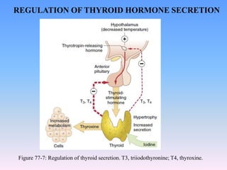 Figure 77-7: Regulation of thyroid secretion. T3, triiodothyronine; T4, thyroxine.
REGULATION OF THYROID HORMONE SECRETION
 