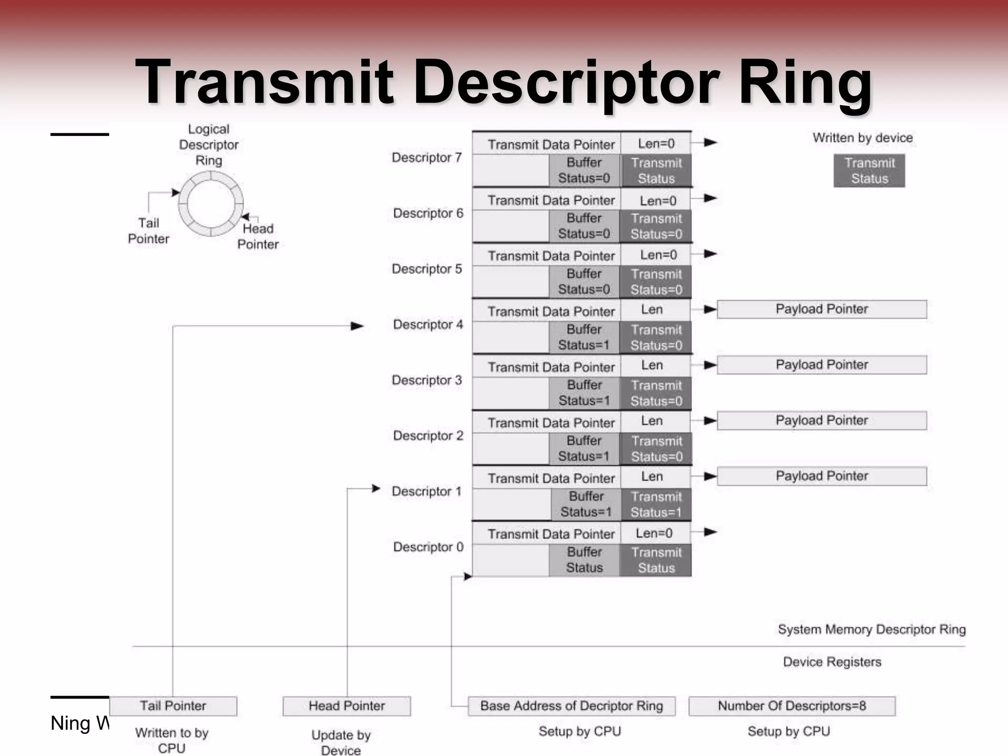 Transmit Descriptor Ring
Ning Weng ECE 424 40
 