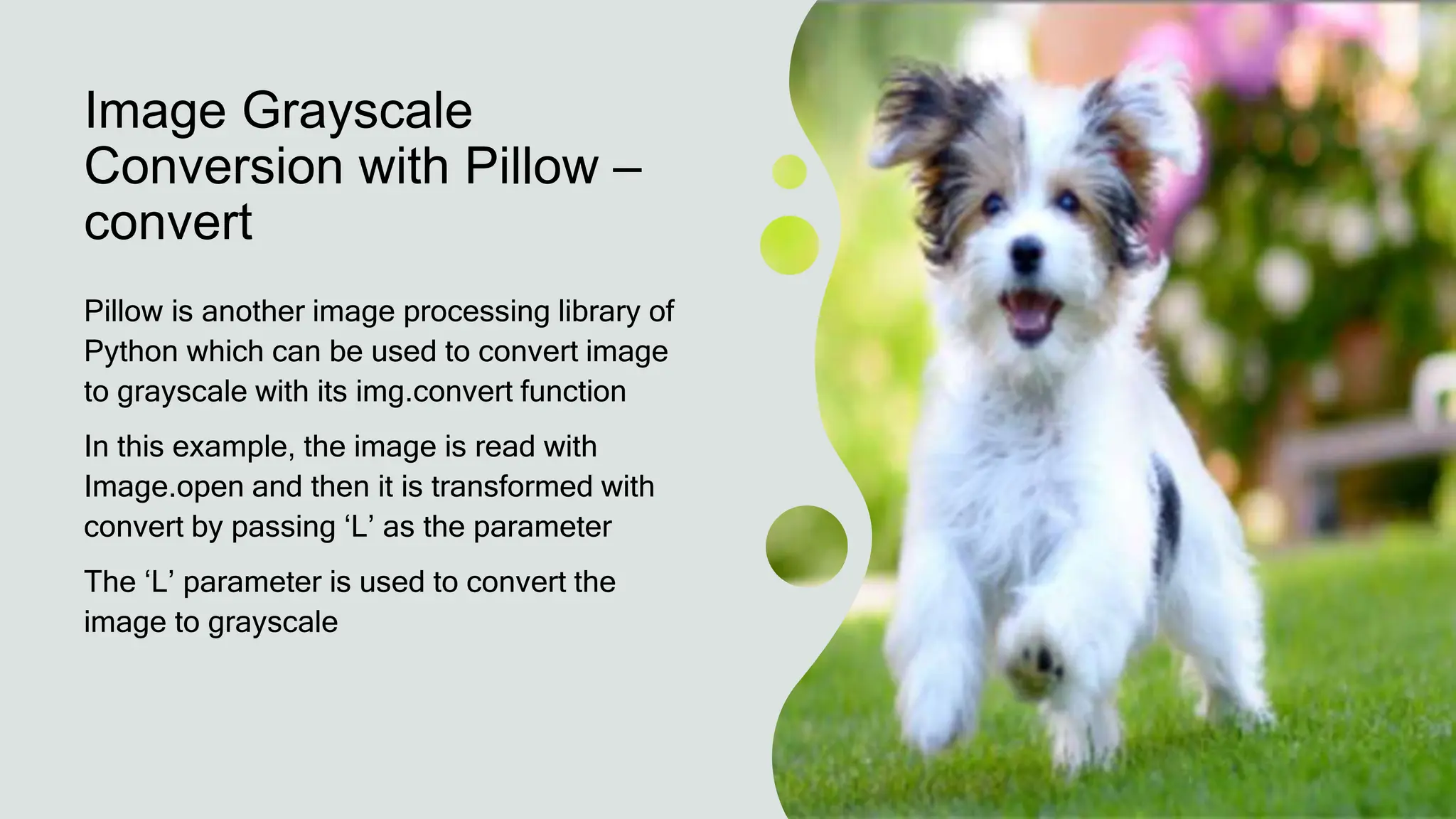 Image Grayscale
Conversion with Pillow –
convert
Pillow is another image processing library of
Python which can be used to convert image
to grayscale with its img.convert function
In this example, the image is read with
Image.open and then it is transformed with
convert by passing ‘L’ as the parameter
The ‘L’ parameter is used to convert the
image to grayscale
 