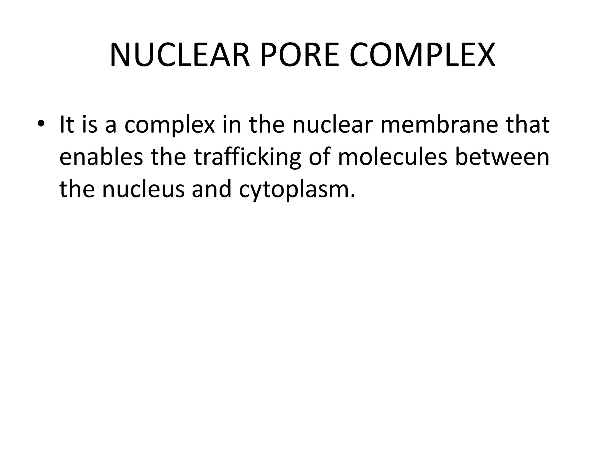 NUCLEAR PORE COMPLEX
• It is a complex in the nuclear membrane that
enables the trafficking of molecules between
the nucleus and cytoplasm.
 