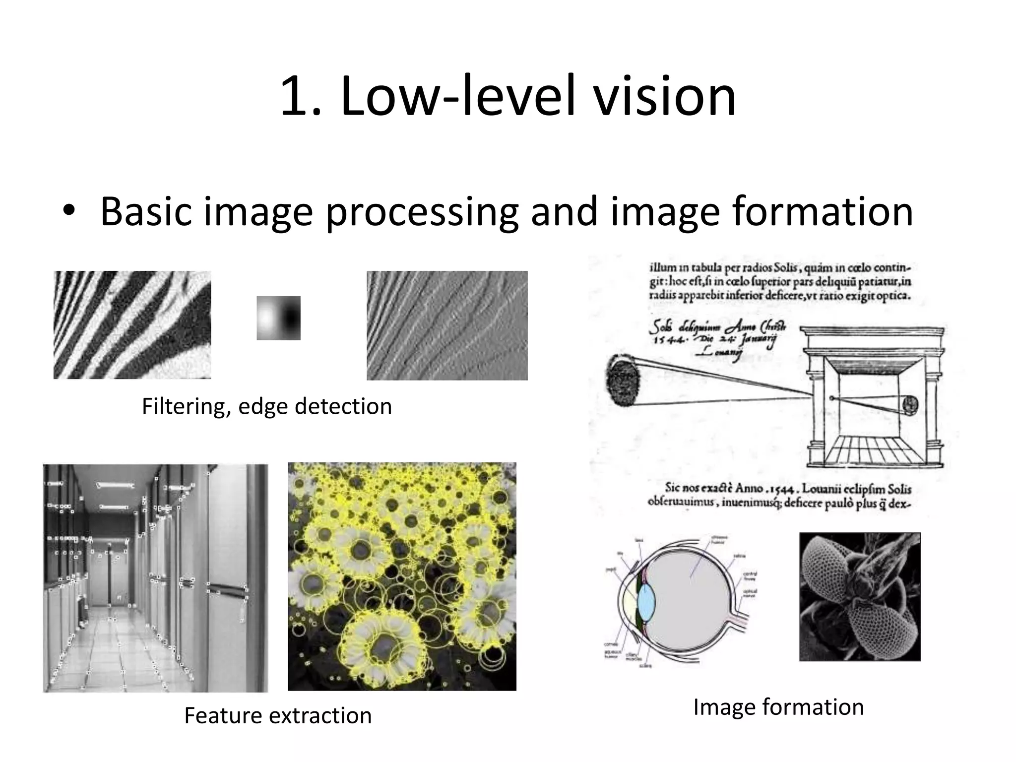 1. Low-level vision
• Basic image processing and image formation
Filtering, edge detection
* =
Feature extraction Image formation
 