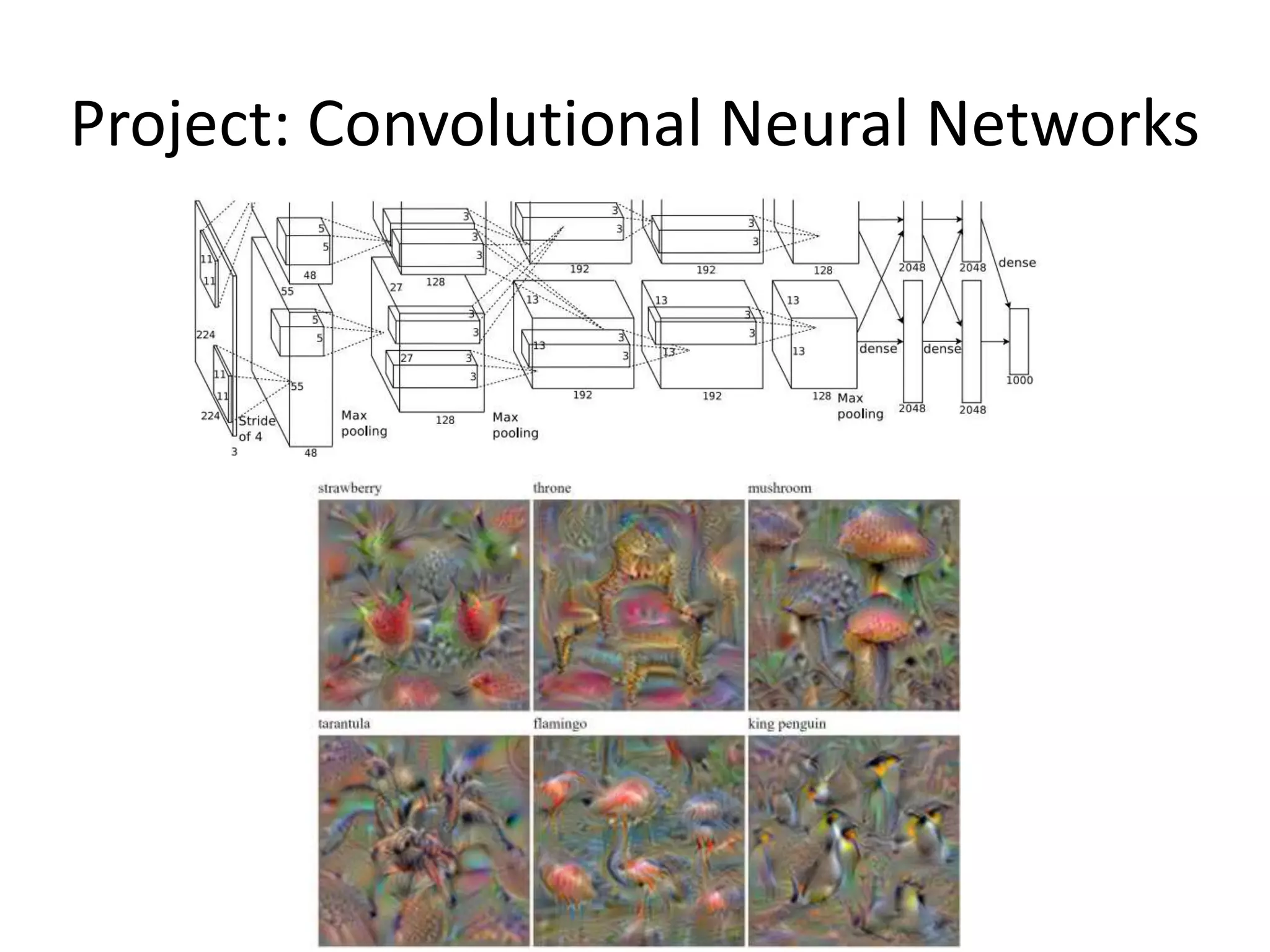 Project: Convolutional Neural Networks
 