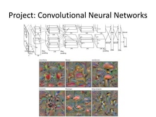 Project: Convolutional Neural Networks
 