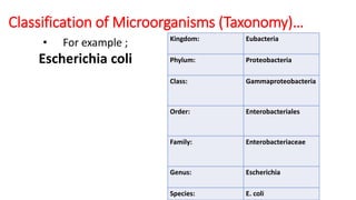 Classification of Microorganisms (Taxonomy)…
Kingdom: Eubacteria
Phylum: Proteobacteria
Class: Gammaproteobacteria
Order: Enterobacteriales
Family: Enterobacteriaceae
Genus: Escherichia
Species: E. coli
• For example ;
Escherichia coli
 