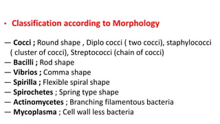 • Classification according to Morphology
— Cocci ; Round shape , Diplo cocci ( two cocci), staphylococci
( cluster of cocci), Streptococci (chain of cocci)
— Bacilli ; Rod shape
— Vibrios ; Comma shape
— Spirilla ; Flexible spiral shape
— Spirochetes ; Spring type shape
— Actinomycetes ; Branching filamentous bacteria
— Mycoplasma ; Cell wall less bacteria
 
