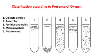 1. Obligate aerobic
2. Anaerobic
3. Factitive anaerobic
4. Microaerophilic
5. Aerotolerant
Classification according to Presence of Oxygen
 