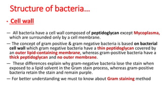 • Cell wall
— All bacteria have a cell wall composed of peptidoglycan except Mycoplasma,
which are surrounded only by a cell membrane.
— The concept of gram positive & gram negative bacteria is based on bacterial
cell wall which gram negative bacteria have a thin peptidoglycan covered by
an outer lipid-containing membrane, whereas gram-positive bacteria have a
thick peptidoglycan and no outer membrane.
— These differences explain why gram-negative bacteria lose the stain when
exposed to a lipid solvent in the Gram stain process, whereas gram-positive
bacteria retain the stain and remain purple.
— For better understanding we must to know about Gram staining method
Structure of bacteria…
 