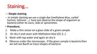 ― Simple staining
– in simple staining we use a single dye (methylene blue, carbol
fuchsin, Safranin …) here just observe the shape of organism or
bacteria either its cocci, rods or spirochetes
• Procedure;
1. Make a thin smear on a glass slide of a given sample
2. Air dry it and cover with Methylene blue (CF, S…)
3. Wash with tap water and again air dry it
4. Observe under the microscope , if the given sample is bacteria then
we will see Bacilli or Cocci shapes of bacteria
Staining…
 