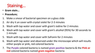 • Gram stain…
• Procedure;
1. Make a smear of bacterial specimen on a glass slide
2. Air dry it an cover with crystal violet for 2-3 minutes
3. Wash with tap water and cover with gram’s iodine for 2 minutes
4. Wash with tap water and cover with gram’s alcohol (95%) for 30 seconds to
1 minute
5. Wash with tap water and cover with Safranin for 2 minutes
6. Wash with tap water and observed under the microscope which will results
either purple or pink, red colored bacteria
7. The Purple colored bacteria is named gram positive bacteria & the Pink or
red colored bacteria named gram negative bacteria
Staining…
 