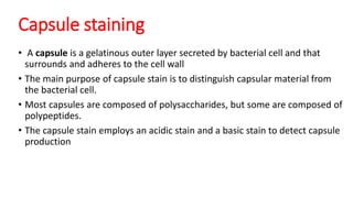 Capsule staining
• A capsule is a gelatinous outer layer secreted by bacterial cell and that
surrounds and adheres to the cell wall
• The main purpose of capsule stain is to distinguish capsular material from
the bacterial cell.
• Most capsules are composed of polysaccharides, but some are composed of
polypeptides.
• The capsule stain employs an acidic stain and a basic stain to detect capsule
production
 