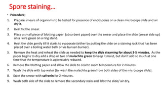 • Procedure;
1. Prepare smears of organisms to be tested for presence of endospores on a clean microscope slide and air
dry it.
2. Heat fix the smear.
3. Place a small piece of blotting paper (absorbent paper) over the smear and place the slide (smear side up)
on a wire gauze on a ring stand.
4. Heat the slide gently till it starts to evaporate (either by putting the slide on a staining rack that has been
placed over a boiling water bath or via bunsen burner).
5. Remove the heat and reheat the slide as needed to keep the slide steaming for about 3-5 minutes. As the
paper begins to dry add a drop or two of malachite green to keep it moist, but don’t add so much at one
time that the temperature is appreciably reduced.
6. Remove the blotting paper and allow the slide to cool to room temperature for 2 minutes.
7. Wash the slide with tap water (to wash the malachite green from both sides of the microscope slide).
8. Stain the smear with safranin for 2 minutes.
9. Wash both side of the slide to remove the secondary stain and blot the slide/ air dry.
Spore staining…
 