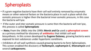 Spheroplasts
• If a gram negative bacteria have their cell wall entirely removed by enzymatic
means or other external factors or the bacteria place in such a place which the
osmotic pressure is higher then the bacterial inner osmotic pressure, in this case
the bacteria will lyse.
• If the outer and inter osmatic pressure is same then the bacteria will not lyse,
this process is called Spheroplasts
― Note; From the 1960s into the 1990s Merck and Co used a spheroplast screen
as a primary method for discovery of antibiotics that inhibit cell wall
biosynthesis. In this screen developed by Eugene Dulaney, growing bacteria were
exposed to test substances under hypertonic conditions.
―Inhibitors of cell wall synthesis caused growing bacteria to form Spheroplasts.
This screen enabled the discovery of fosfomycin, cephamycin C, thienamycin and
several carbapenems.
 