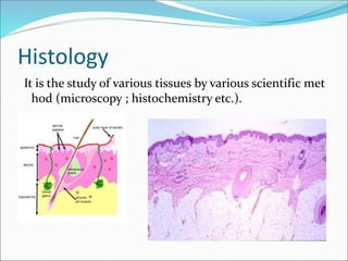 Histology
It is the study of various tissues by various scientific met
hod (microscopy ; histochemistry etc.).
 