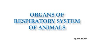 By. DR. NOOR
ORGANS OF
RESPIRATORY SYSTEM
OF ANIMALS
 
