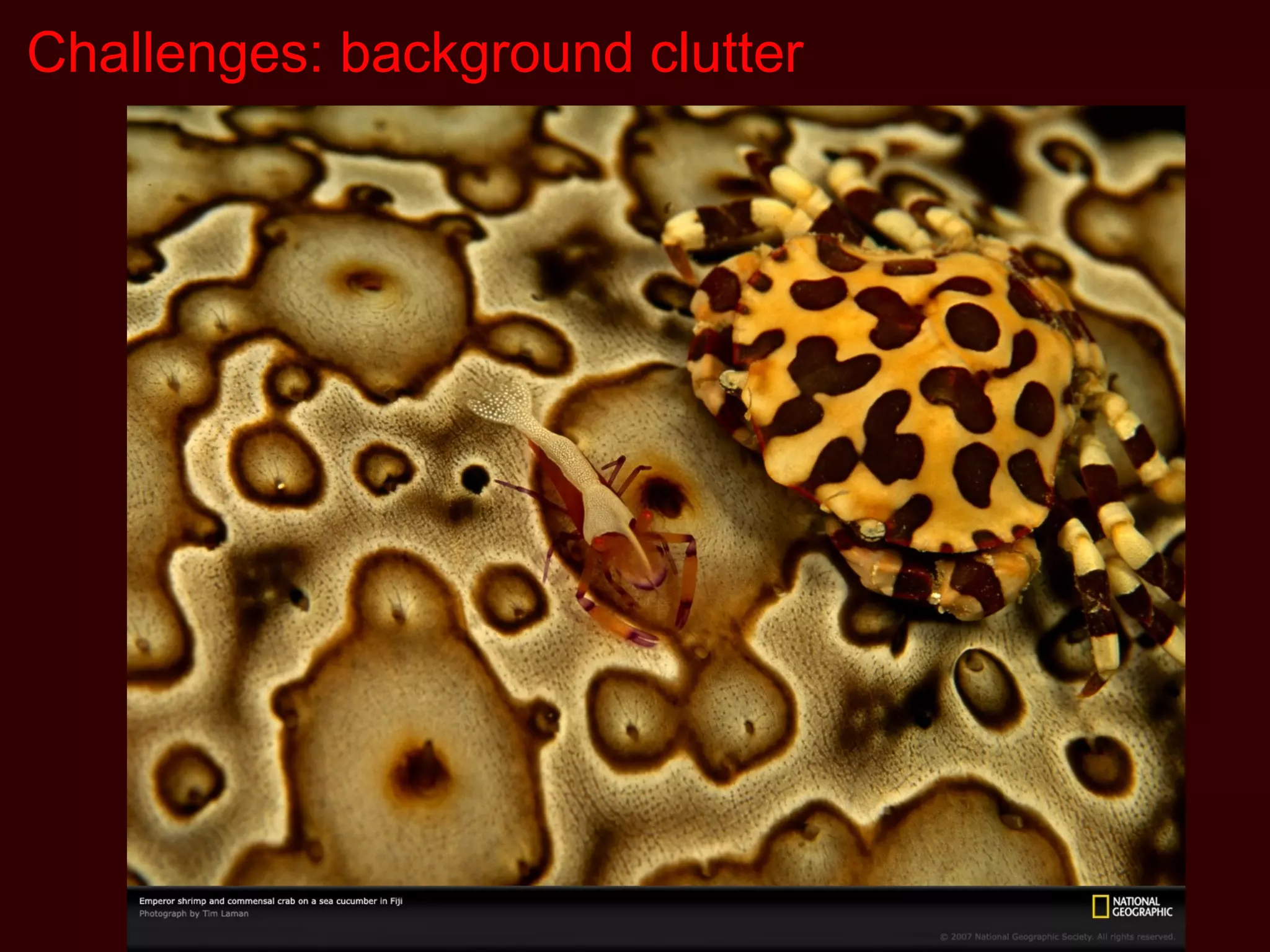 Challenges: background clutter
 