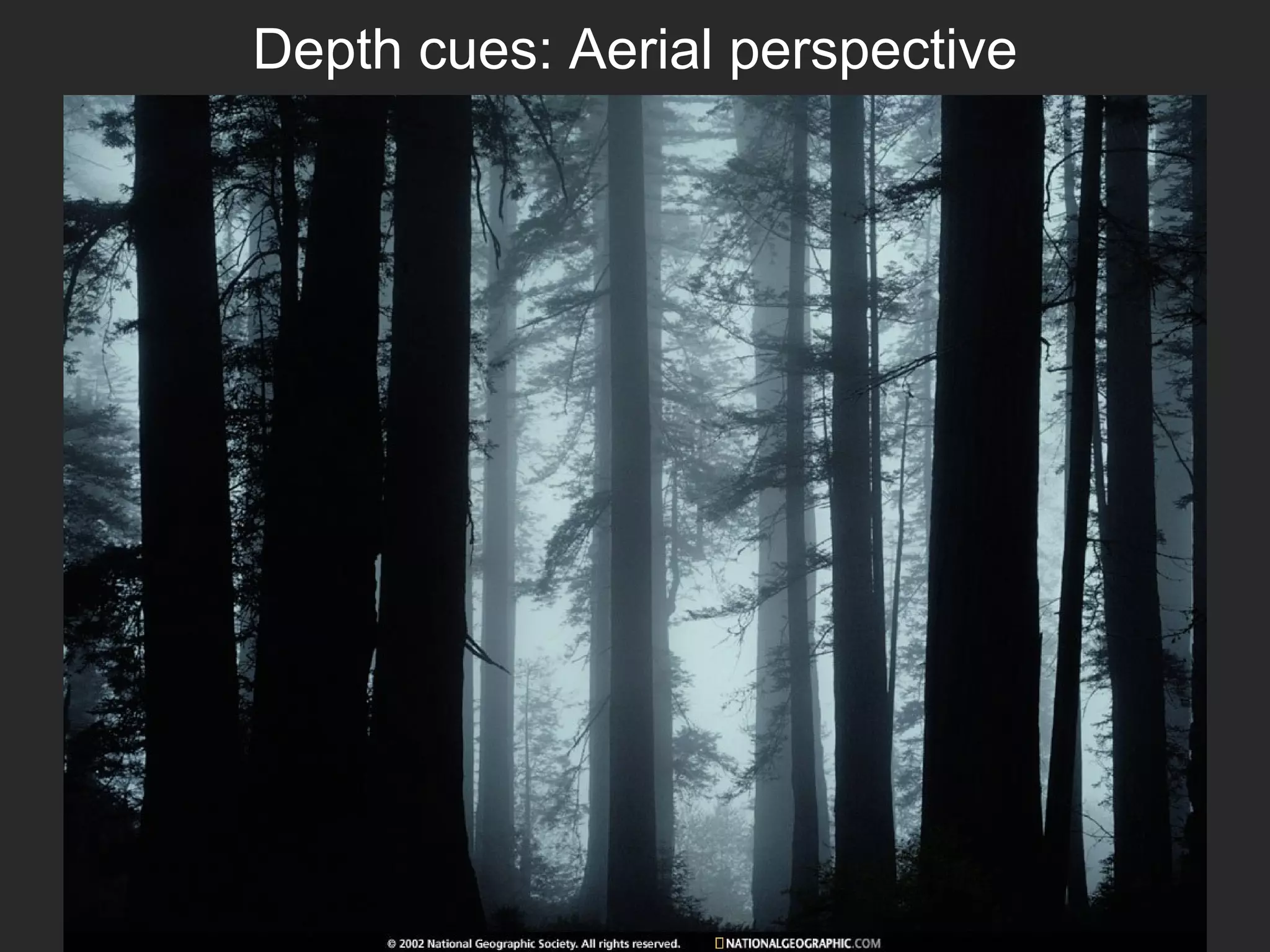 Depth cues: Aerial perspective
 