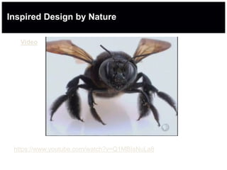 Inspired Design by Nature
Video
https://www.youtube.com/watch?v=Q1MBIaNuLa8
 