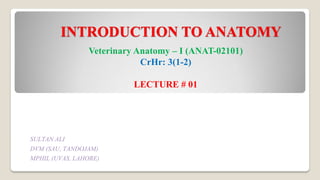 INTRODUCTION TO ANATOMY
Veterinary Anatomy – I (ANAT-02101)
CrHr: 3(1-2)
LECTURE # 01
SULTAN ALI
DVM (SAU, TANDOJAM)
MPHIL (UVAS, LAHORE)
 