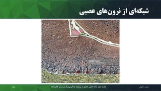 ‫عصبی‬ ‫های‬‫نرون‬ ‫از‬ ‫ای‬‫شبکه‬
‫محمد‬‫خالوئی‬‫داد‬‫کالن‬ ‫بستر‬ ‫بر‬ ‫ژرف‬‫یادگیری‬ ‫رویکرد‬ ‫با‬ ‫تحلیل‬ ‫علمی‬ ‫ارائه‬ ‫دوم‬ ‫جلسه‬‫ه‬15
 