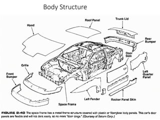 Body Structure
 