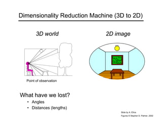 Point of observation
Figures © Stephen E. Palmer, 2002
Dimensionality Reduction Machine (3D to 2D)
3D world 2D image
What have we lost?
• Angles
• Distances (lengths)
Slide by A. Efros
 