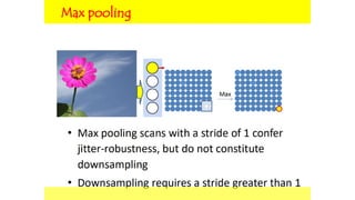 Convolutional Neural Network Architecture | PPTX