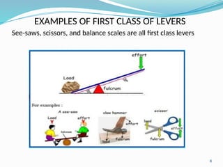 LEC 03. LEVER & PULLEY 569874566(1).pptx