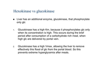 Hexokinase vs glucokinase

    Liver has an additional enzyme, glucokinase, that phosphorylate
     only glc

1.    Glucokinase has a high Km, because it phosphorylates glc only
      when its concentration is high. This occurs during the brief
      period after consumption of a carbohydrate rich meal, when
      high glc are delivered by portal vein.

2.    Glucokinase has a high Vmax, allowing the liver to remove
      effectively this flood of glc from the portal blood. So this
      prevents extreme hyperglycemia after meals.
 