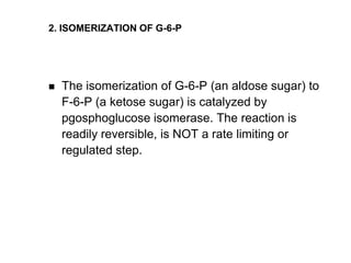 2. ISOMERIZATION OF G-6-P




   The isomerization of G-6-P (an aldose sugar) to
    F-6-P (a ketose sugar) is catalyzed by
    pgosphoglucose isomerase. The reaction is
    readily reversible, is NOT a rate limiting or
    regulated step.
 