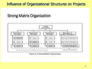 Influence of Organizational Structures on Projects
55
 